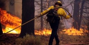 ABD'nin Kaliforniya eyaletinde orman yangını nedeniyle yüzlerce bina tehdit altında