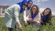 Karslı kadın çiftçiler, mavi kantaronla yıllık 7 milyon liralık gelir imkanına kavuşuyor