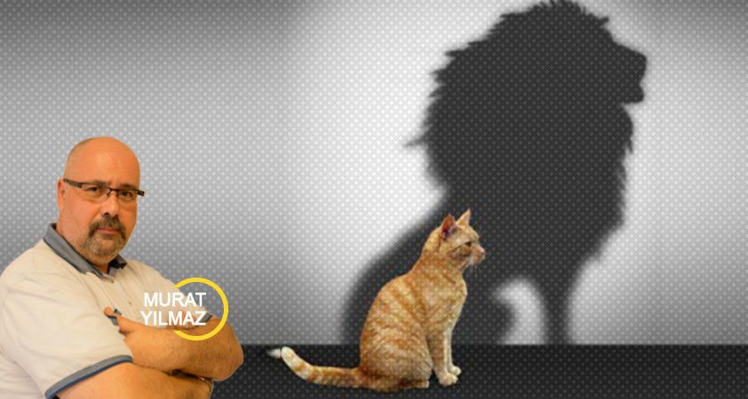 İkarus neden düştü?