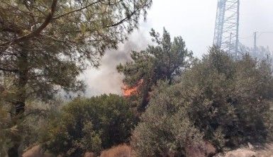 Datça'daki orman yangınına havadan ve karadan müdahale sürüyor