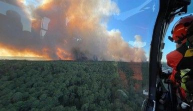 Fransa'nın güneyinde orman yangını