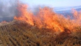 Sıcak hava Erzincan’da yangınları artırdı