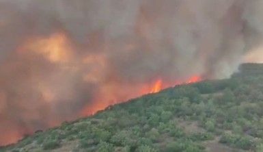 Slovenya'da orman yangını