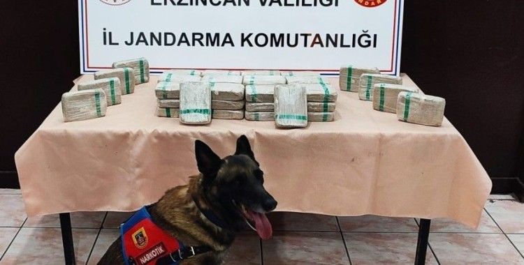 Erzincan’da tır içerisinde 25 kilo 720 gram eroin ele geçirildi