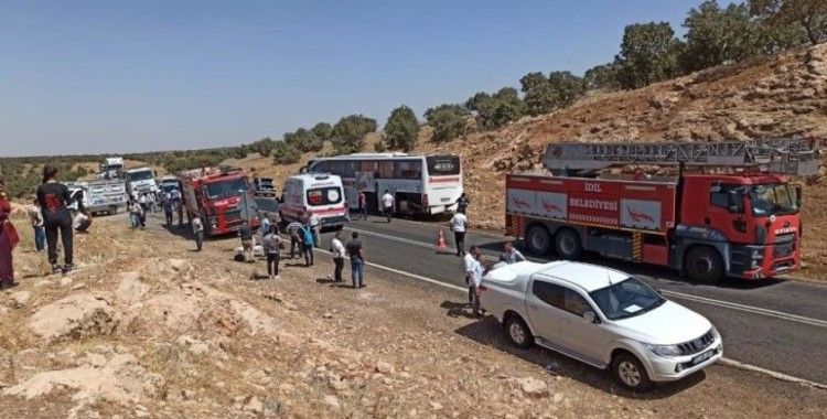 Şırnak'ta yolcu otobüsü ile otomobil çarpıştı: 1 ölü, 12 yaralı