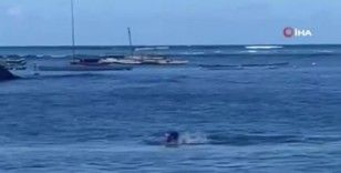 Hawaii’de keşiş foku yüzen kadına saldırdı