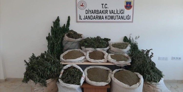 Diyarbakır'da narko terör operasyonu: 2 milyon 293 bin 180 kök kenevir bitkisi ele geçirildi