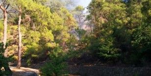Marmaris’te orman yangını