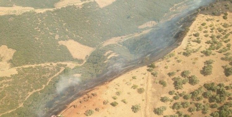 İzmir’de ormanlık alanda yangın kontrol altında