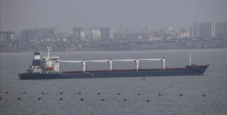 AB, Odessa Limanı'ndan tahıl yüklü ilk geminin ayrılmasından memnun