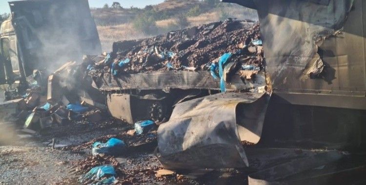 Alevlere teslim olan tırdaki 20 ton fındık küle döndü