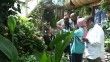 İslam Dayanışma Oyunları heyeti Tropikal Kelebek Bahçesi'ni gezdi