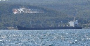 Ukrayna’dan yola çıkan mısır yüklü ‘Navi-Star’ tahıl gemisi Çanakkale Boğazı’ndan geçti