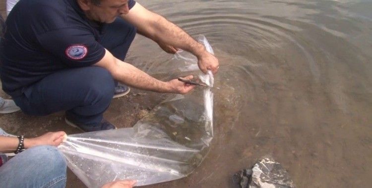  İstanbul İl Tarım ve Orman Müdürü: “2 milyon 24 bin adet sazan balığını iç sularımızla buluşturduk”