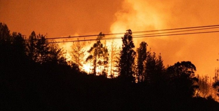İngiltere'de bu yıl geçen yıldan 500 fazla orman yangını çıktı