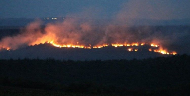 Bulgaristan'daki yangın Edirne'nin sınır köylerine dayandı: Alevler ürkütücü boyuta ulaşıyor