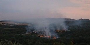 Bulgaristan'da askerler patlayıcı madde imha ederken orman yangını çıktı