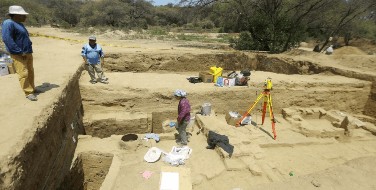 1.8 milyon yıllık diş bulundu: 'Gürcistan Afrika dışındaki ilk insan yerleşimlerinden biri olabilir'