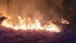 Denizli-Muğla sınırında çıkan orman yangını söndürüldü