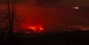 California’daki orman yangınında 18 bin 853 hektarlık alan kül oldu