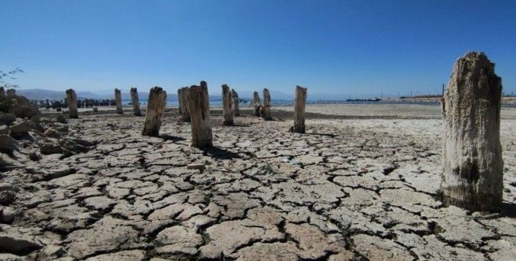 Van Gölü’nde büyük su kaybı: 100 yıllık iskele tamamen ortaya çıktı