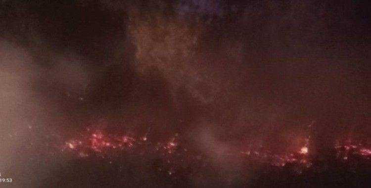 Milli Park’ta orman yangını çıktı, facia ucuz atlatıldı
