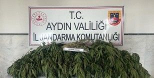 Aydın'da uyuşturucu ile mücadelede bir haftada 7 kişi tutuklandı