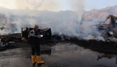 Kereste fabrikası yandı, zarar 50 milyon TL