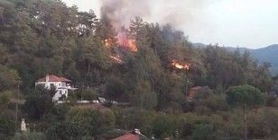 Muğla Ula'da orman yangını başladı