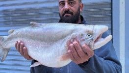 İznik Gölü'nde 8 kiloluk somon balığı yakalandı