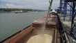 Tahıl sevkiyatı kapsamında 9 gemi daha Ukrayna'dan hareket etti
