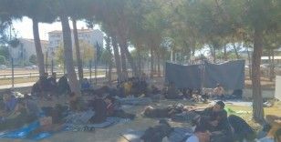 Didim'de 92 düzensiz göçmen yakalandı