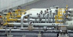 TürkAkım doğal gaz boru hattının operatörü: İhracat lisansımız iptal edildi, sevkiyatlar etkilenmeyecek