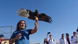 Van'da tedavileri tamamlanan 300 yabanî hayvan doğaya bırakıldı