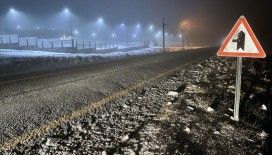 Ardahan'ın yüksek kesimlerinde kar yağışı etkili oluyor