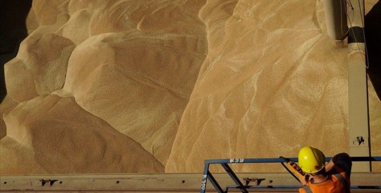 Rusya, Mali'ye 100 milyon dolarlık yakıt ve tahıl gönderiyor
