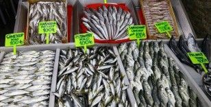 Tekirdağ'da balıkçılar poyraz nedeniyle açılamayınca balık fiyatları arttı