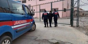 Malatya’da 13 yıl cezası bulunan hırsız jandarma operasyonu ile yakalandı