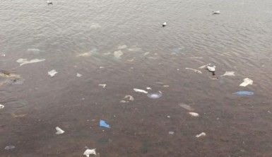 Kadıköy'ü lodos vurdu, Caddebostan sahilini plastik atıklar kapladı