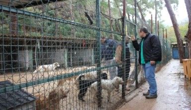 Marmaris'teki evden kurtarılan hayvanlar bakımevinde tedavi ediliyor