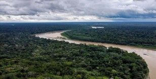Amazon'da 2022'de günde 3 bin futbol sahası büyüklüğünde orman yok oldu