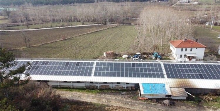 Bolu'da tavuk üreticileri elektrik ihtiyacını güneş enerjisinden karşılıyor