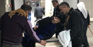 Bursa'da sahipsiz köpeklerin saldırısına uğrayan yaşlı kadın yaralandı