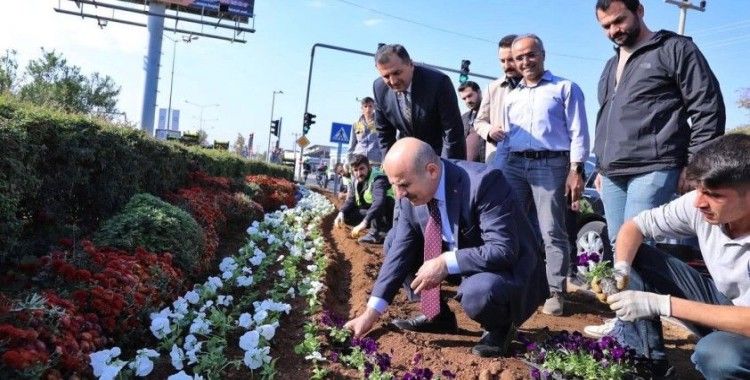 Mardin Büyükşehir Belediyesi, daha yeşil bir Mardin için çalışıyor