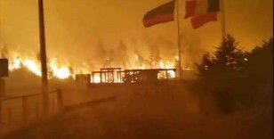 Şili'de orman yangınlarında ölenlerin sayısı 22'ye yükseldi