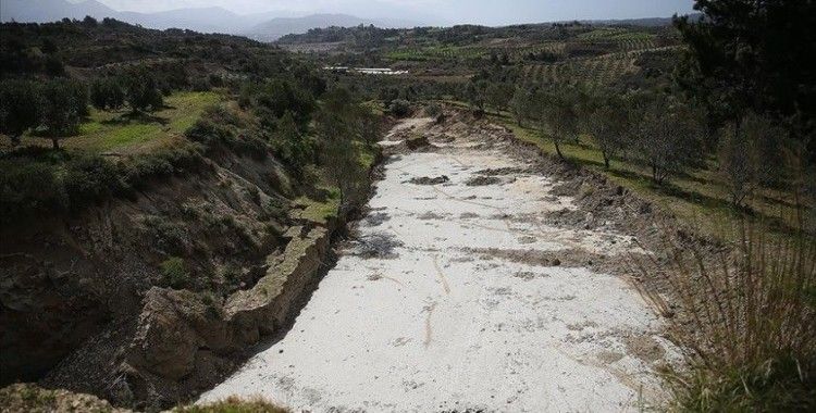Hatay'da depremler zeytin bahçesini ikiye ayırdı