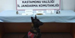 Kastamonu’da uyuşturucu operesyonu: 1 gözaltı