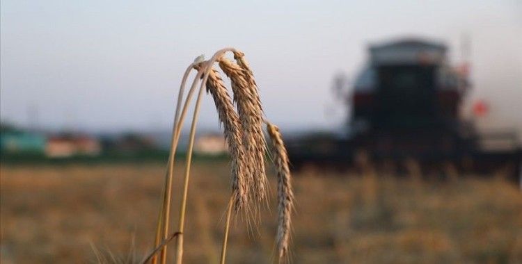 Çiftçilere 12,8 milyon liralık tarımsal destekleme ödemeleri bugün yapılacak