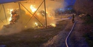 Binlerce balya saman alev alev yandı