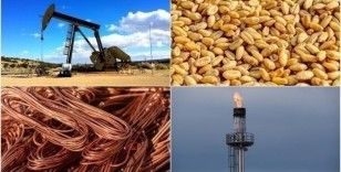 Emtia piyasalarında geçen hafta sert düşüşler öne çıktı